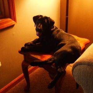 Meet your Posher, Brandy